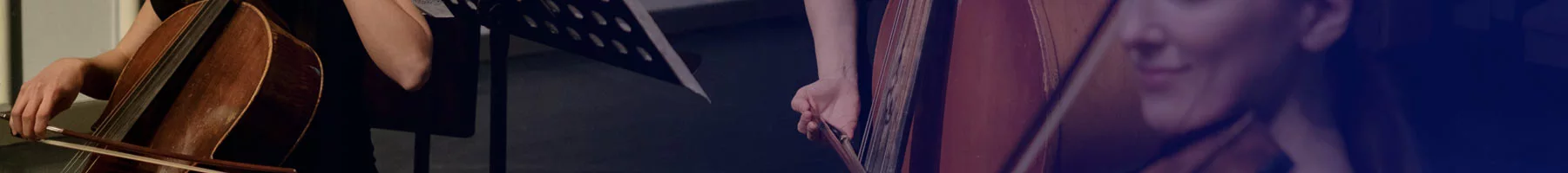 Chamber Chamber Visual